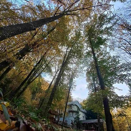 База Відпочинку Шиповець Poroshkovo Εξωτερικό φωτογραφία